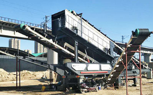 Jaw Crusher Plate Manufacturer: The Complete Technical & Business Guide